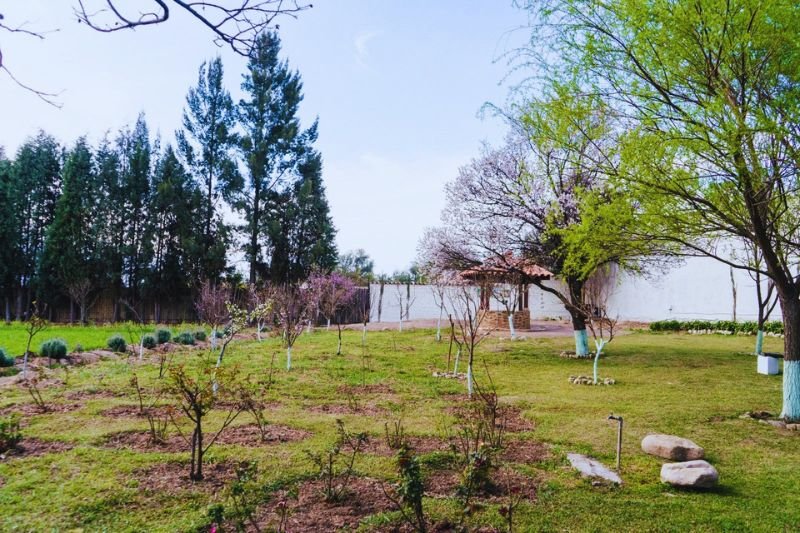 Lea Properties - Quinta Carmencita - Bolivia - 17