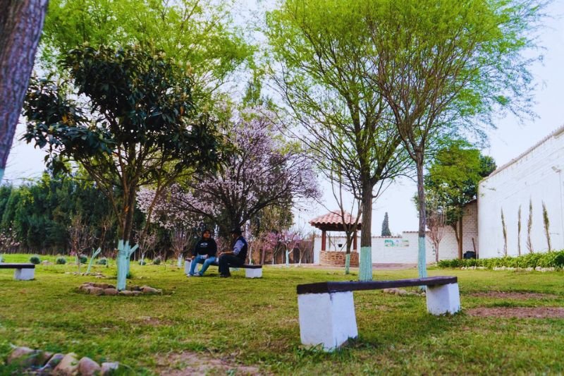 Lea Properties - Quinta Carmencita - Bolivia - 20