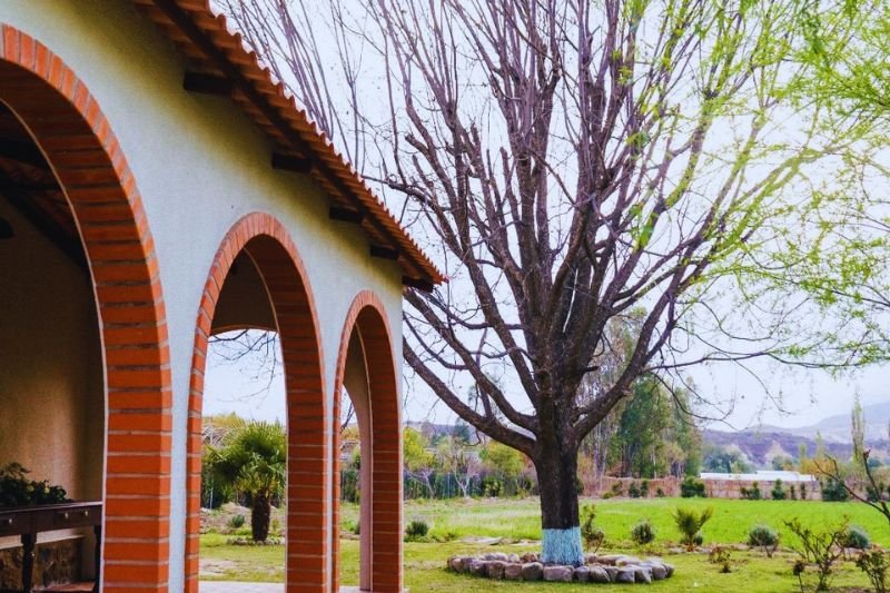 Lea Properties - Quinta Carmencita - Bolivia - 7